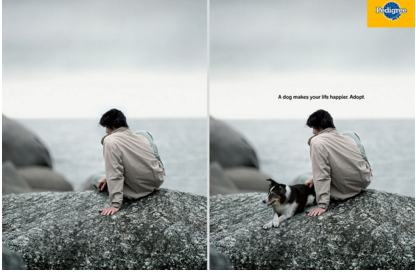 Pedigree Ad