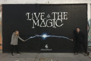 Fantastic Beasts Interactive Wall Mural